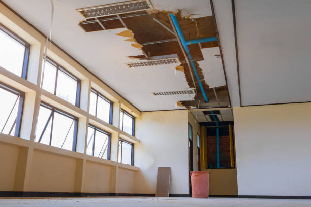 Best Water damage mitigation services  in Stockdale, TX