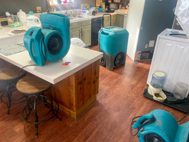 Best Residential water damage restoration  in Stockdale, TX