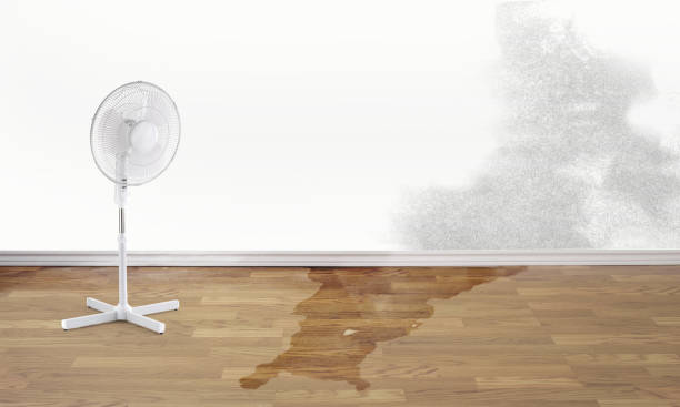 Best Sewage cleanup and water damage restoration  in Stockdale, TX