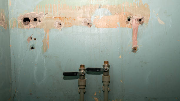 Best Ceiling water damage repair  in Stockdale, TX
